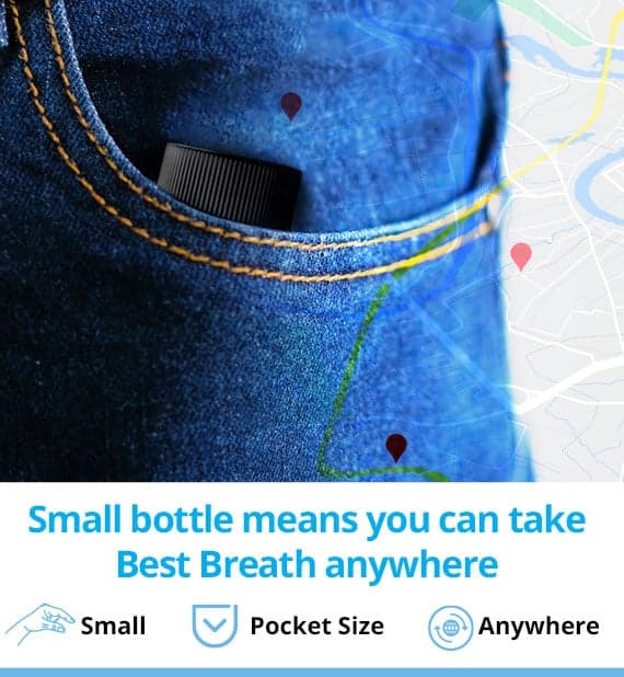 Pocket Sized